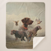 Pudelpointers、狩りキジ シェルパブランケット (正面)