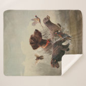 Pudelpointers、狩りキジ シェルパブランケット (正面(横))