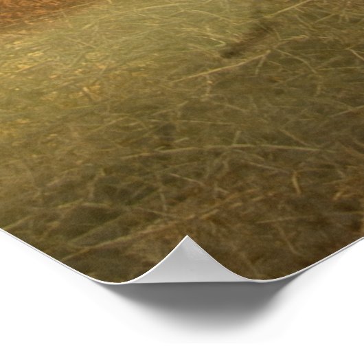 Pudelpointers、狩りキジ ポスター (角)