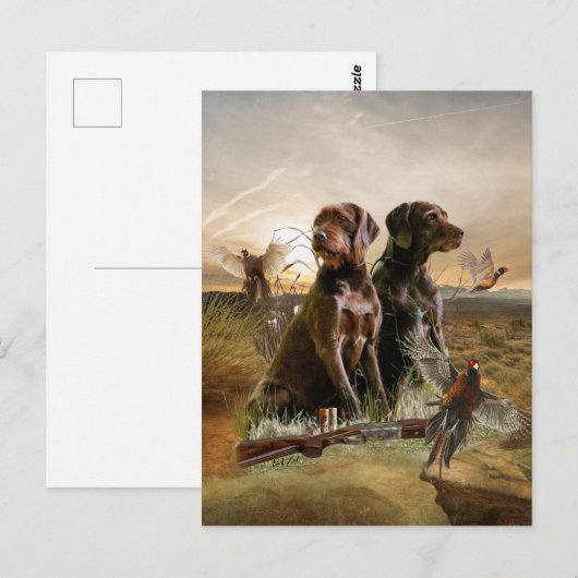Pudelpointers、狩りキジ ポストカード (正面/裏面)