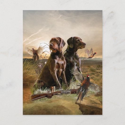Pudelpointers、狩りキジ ポストカード (正面)