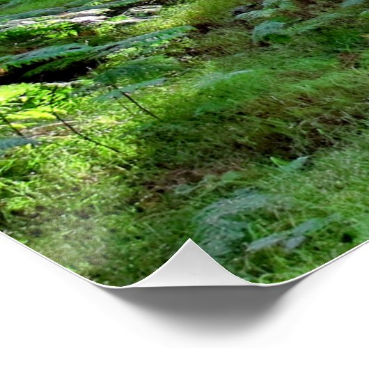 Puesta de Sol en el bosque ポスター (コーナー)