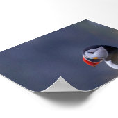 Puffin bird in Iceland ポスター (角)