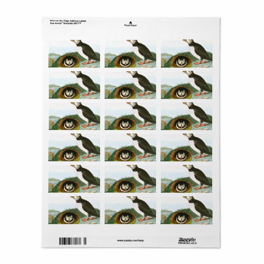 Puffin by John James Audubon ラベル (フルシート)