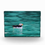 Puffin In Resurrection Bay, Alaska フォトブロック (正面)