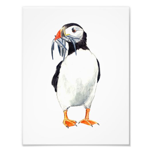 Puffin Print フォトプリント (正面)