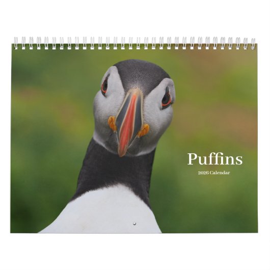 Puffins Calendar カレンダー (カバー)