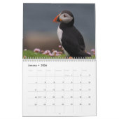 Puffins Calendar カレンダー (1月 2026)