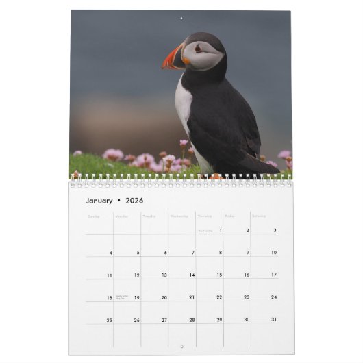 Puffins Calendar カレンダー (1月 2026)