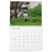 Puffins Calendar カレンダー (3月 2027)