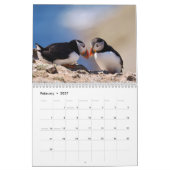 Puffins Calendar カレンダー (2月 2027)