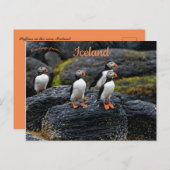 Puffins in the Rain in Iceland ポストカード (正面/裏面)