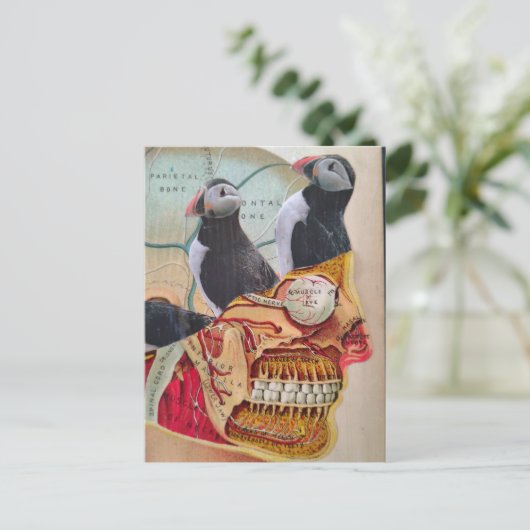 Puffins on my Brain Surreal mixed media collage  ポストカード (スタンド正面)