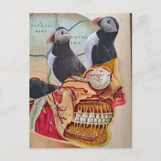 Puffins on my Brain Surreal mixed media collage  ポストカード (正面)