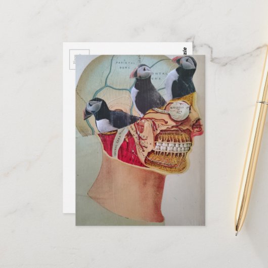 Puffins on the Brain Surreal mixed media collage  ポストカード (正面/裏面インサイチュ)