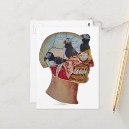 Puffins on the Brain Surreal mixed media collage  ポストカード