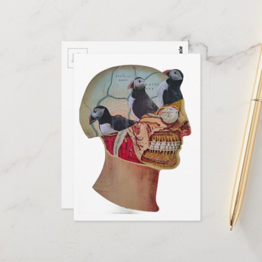 Puffins on the Brain Surreal mixed media collage  ポストカード (正面/裏面インサイチュ)