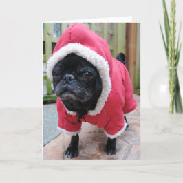 PUGおもしろい誕生日グリーティングカード カード