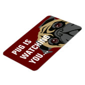 Pugが見ている マグネット (左側)