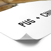 PugとChihuahuaかわいい犬の子犬の品種ミックス史上最高 ポスター (角)