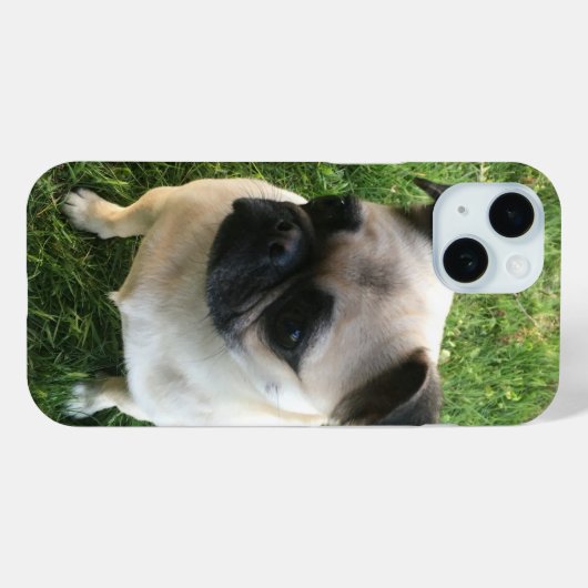 Pugの写真 Case-Mate iPhoneケース (裏面 (横))