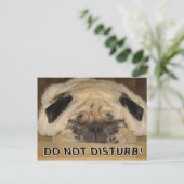 Pugはがきを邪魔しない ポストカード (スタンド正面)