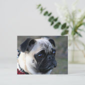 Pugはがき ポストカード (スタンド正面)