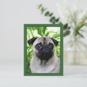 Pugはがき ポストカード (スタンド正面)