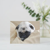 Pugはがき ポストカード (スタンド正面)