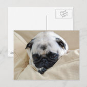 Pugはがき ポストカード (正面/裏面)