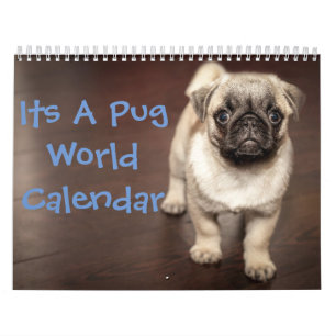 Pugカレンダーです カレンダー