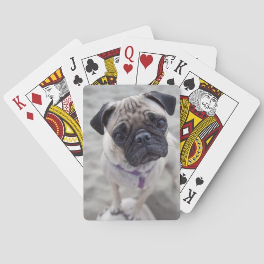 Pugクローズアップ トランプ (裏面)
