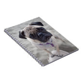 Pugクローズアップ ノートブック (右側)
