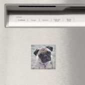 Pugクローズアップ マグネット (インサイチュ (食洗機))