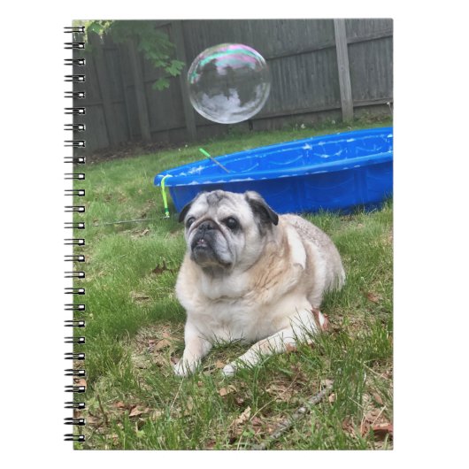 PUGスパイラルノートブック ノートブック (正面)