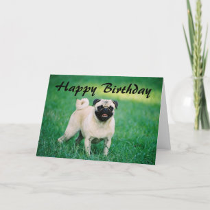 Pugハッピーバースデー カード