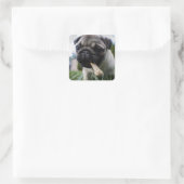 Pugパーソナライズされた Dogの写真と名前 スクエアシール (バッグ)