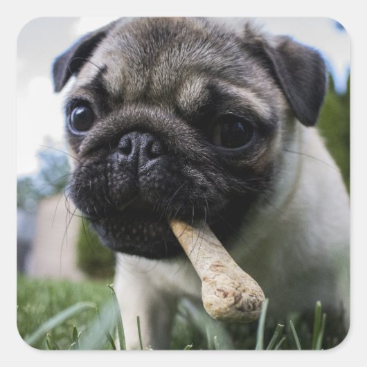 Pugパーソナライズされた Dogの写真と名前 スクエアシール (正面)