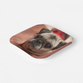 Pugパーティープレート ペーパープレート (傾斜あり)