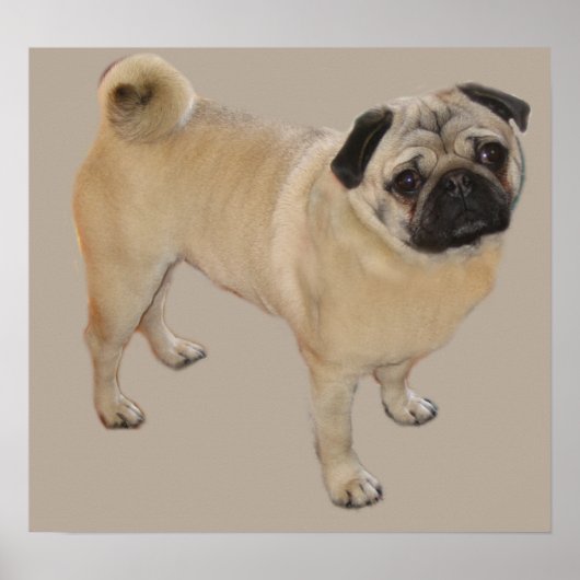 Pugプリント ポスター (正面)