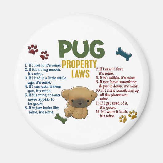 Pugプロパティの法則4 マグネット (正面)