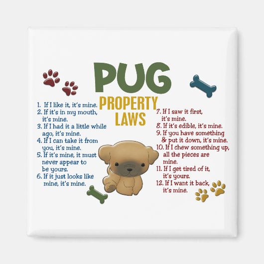 Pugプロパティの法則4 マグネット (正面)