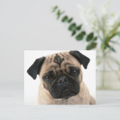 pugポストカード ポストカード (スタンド正面)