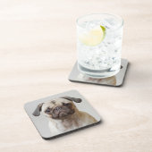 Pugポートレート コースター (右側)