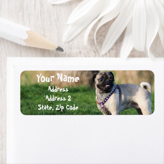 Pug住所 シール (インサイチュ)