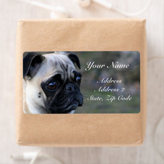 Pug住所 シール (インサイチュ)