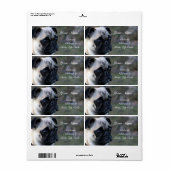 Pug住所 シール (フルシート)