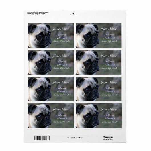 Pug住所 シール (フルシート)