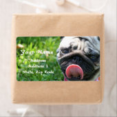 Pug住所 シール (インサイチュ)