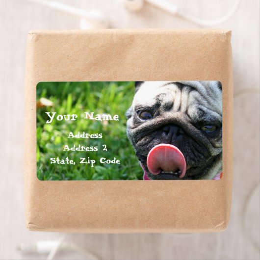 Pug住所 シール (インサイチュ)